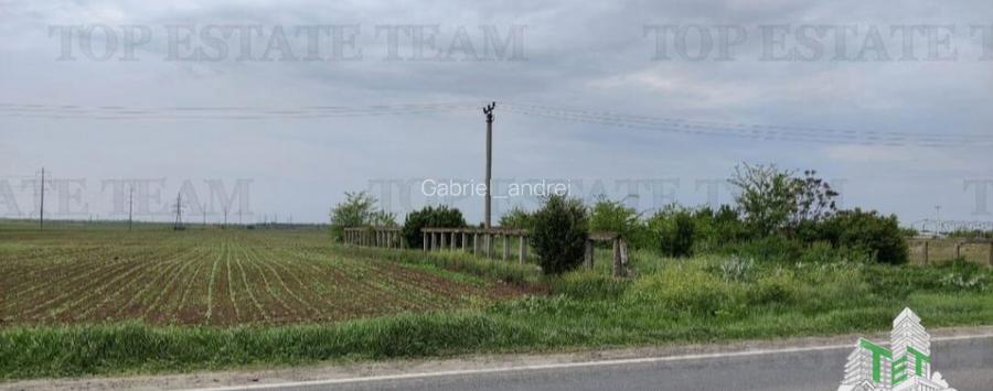 Teren intravilan - - centura - Cazasu - Braila