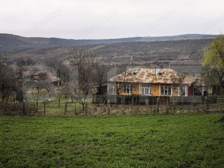 Casa Comarna cu 3500 mp teren la asfalt - 2