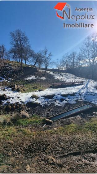 Teren de exceptie 3,1 ha intravilan | Panorama, utilitati, acces dublu | Sard - 1