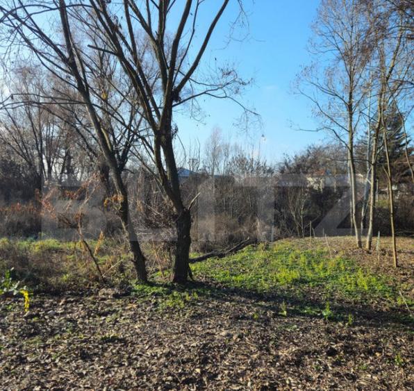 Teren intravilan 738 mp, zona Viforata, Comision 0 - 9