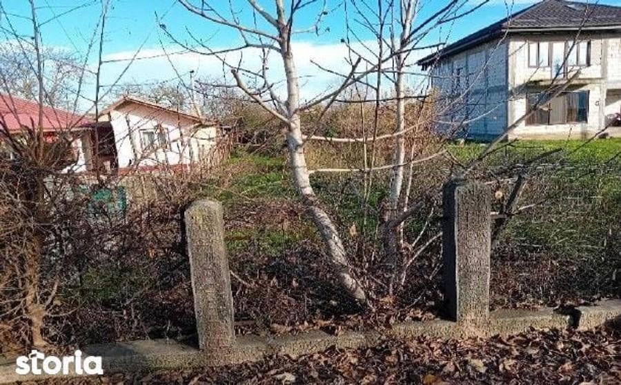 Casa si teren Prundu, ID: R3070222 - 11