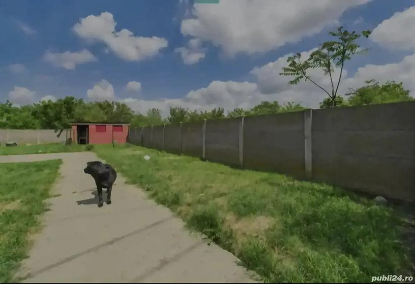 Vand Casa Padureni - 6