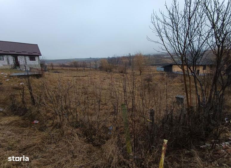 Teren intravilan Miroslava , 833 metri Cod:150282 - 5