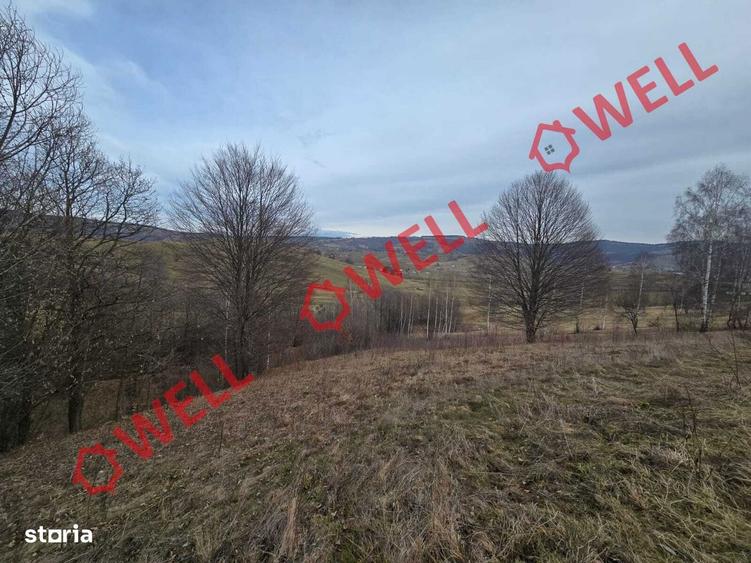 Teren extravilan de vanzare in Sarama?, pe punctul de numit ,,PARAIE,, - 3