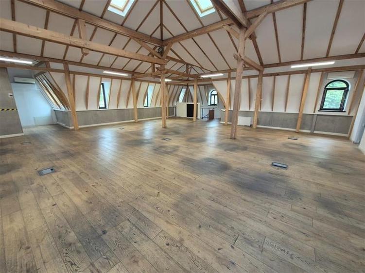 Spatii pentru birouri in vila - 233 mp - aproape km 0 - 17