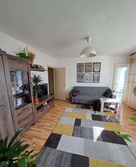 Apartament 2 camere in zona Parcului Central - 2