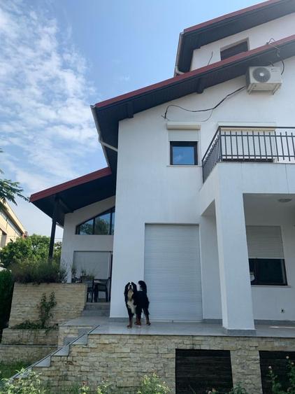 Vila de lux in Baneasa-Nord - 2