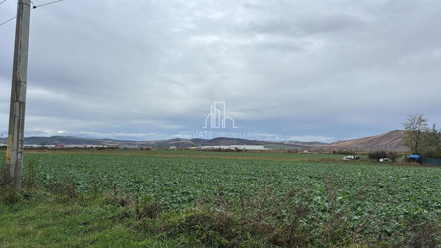 Teren 10 000 Mp Deschidere E60, Zona Aeroport/Autostrada, Ungheni - 3