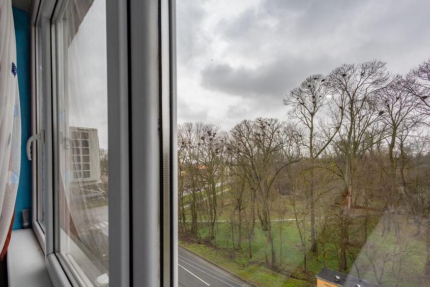 De vanzare apartament 2 camere in Buzias - 9