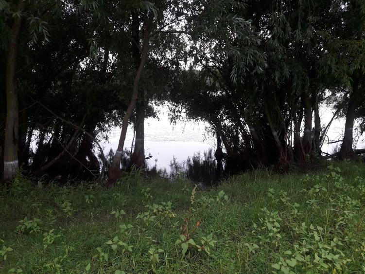 Teren intravilan Dunăre  - 5