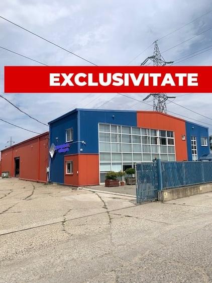 Hala de vanzare, an 2008, zona industriala Bacau - 1