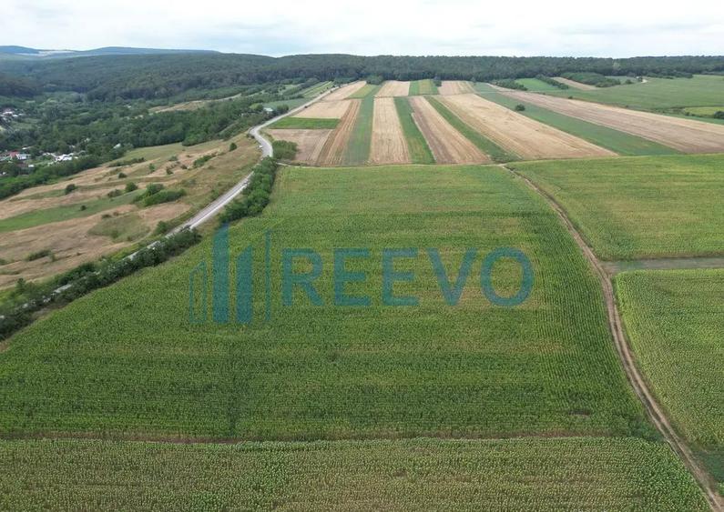 Teren de 3.600 mp Racova - 8