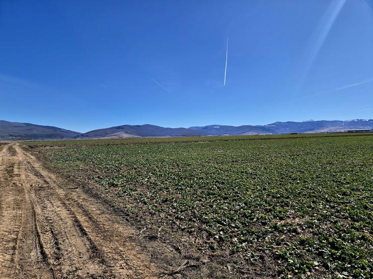 Teren extravilan de vânzare – Prejmer, Brașov | Potențial  pentru dezvoltare! - 4