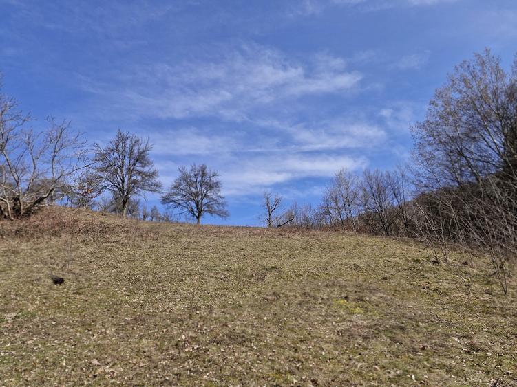 Casa de vanzare la deal - 7