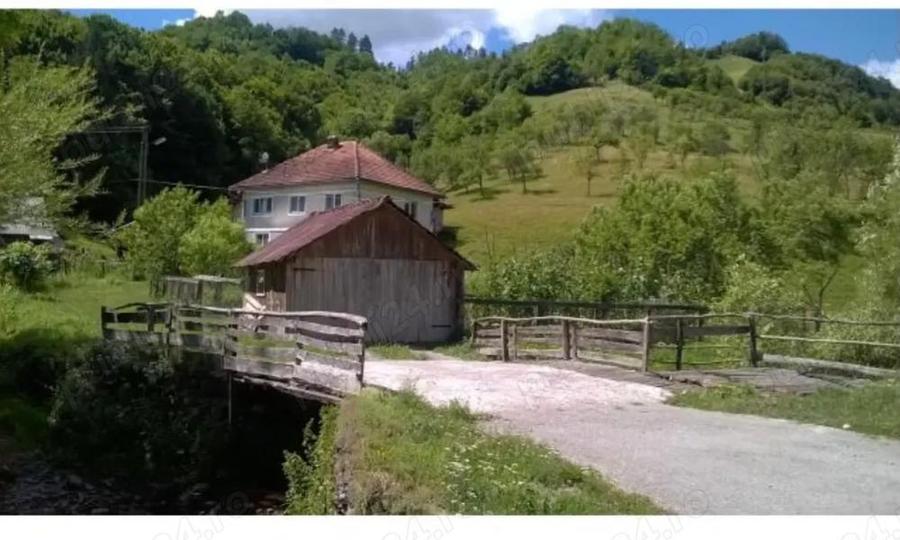 Casa la tara in zona linistita - 1