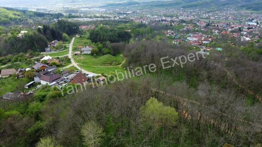 Teren de vanzare in Curtea de Arge?, strada Paune?ti. - 4