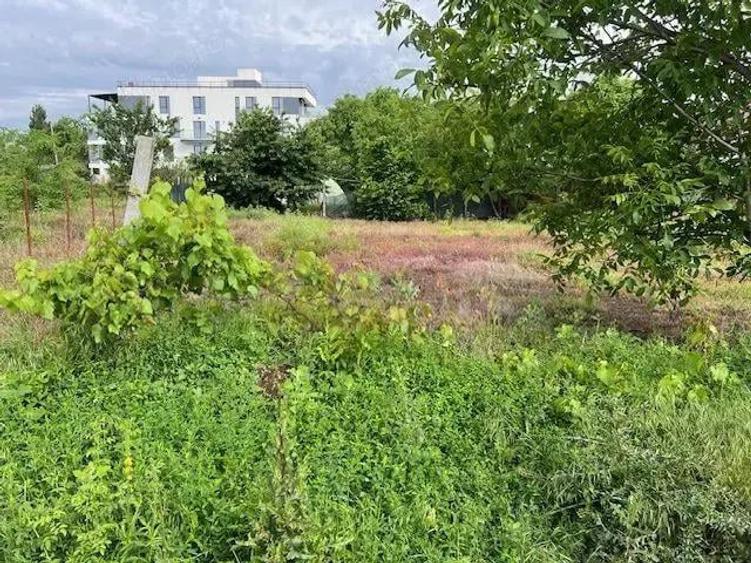 Teren Ghencea- Dantelei- Darvari. - 3