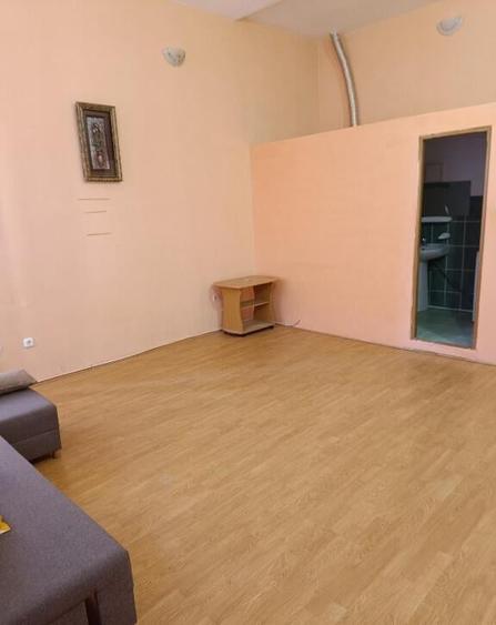 Apartament 1 camera ,et 1, Pietonal - 3