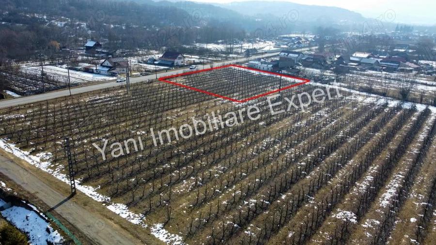 Teren de vanzare in comuna Mu?ate?ti, jude? Arge?. - 10