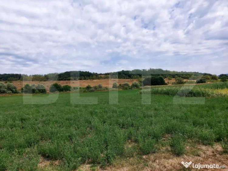 De vanzare teren Fundatura 27500mp - intravilan - 2