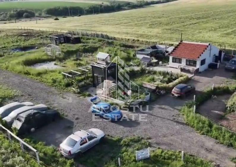 Farmhouse la 14km de Timisoara, teren agricol 1ha - 4