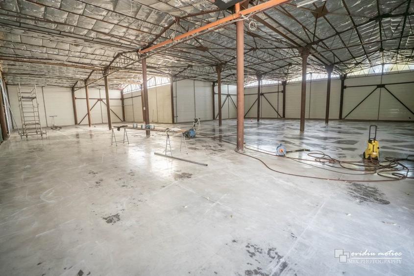 Hala 570 mp Calea Baciului - 3