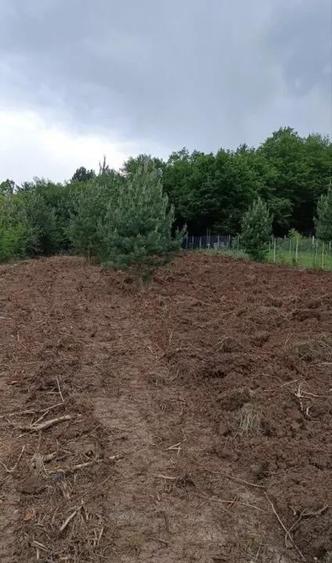 Teren Construcții de 603 mp, în Micești