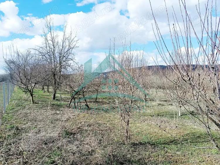 Teren intravilan de vanzare, in satul Pata! - 1