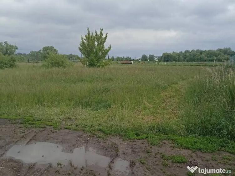 De vanzare teren intravilan construibil in Sfantu Gheorghe - 4