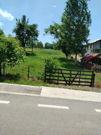 Teren de vanzare - 1
