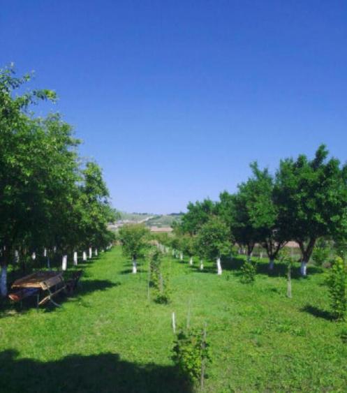 Casa de vanzare in Calan - 7