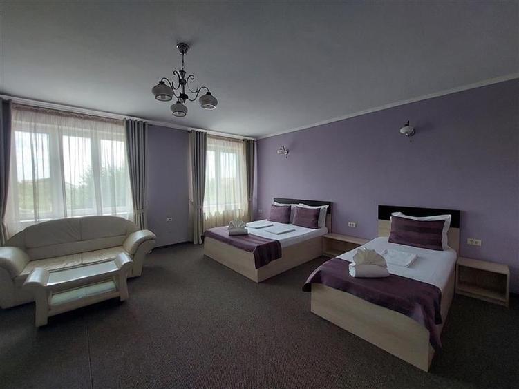 Casa cu 13 camere, pentru activitati diverse, in Micalaca - 9