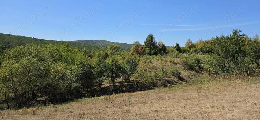 Casa batraneasca cu teren - 3