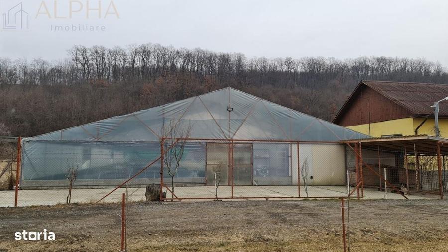 Afacere La Cheie Hala Productie + Sera Profesionala - 8