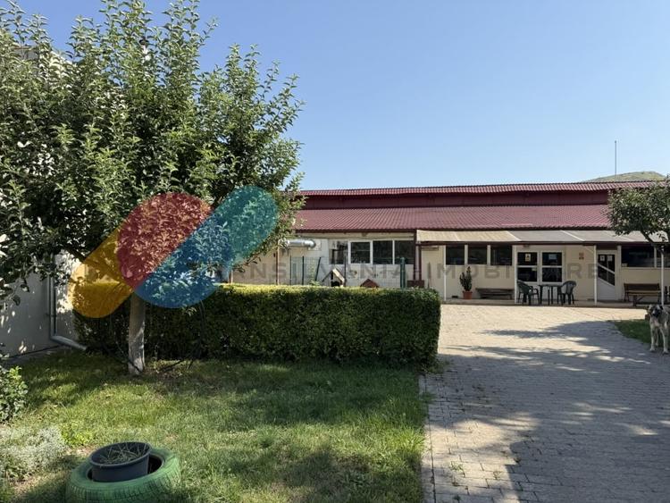 Complex industrial de vanzare – 2 hale productie + cladire birouri + parcare, ac - 3