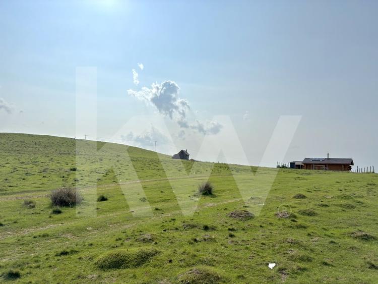 Teren Intravilan de 1003 mp Paltinis - utilitati Arena Platos Sibiu - 5