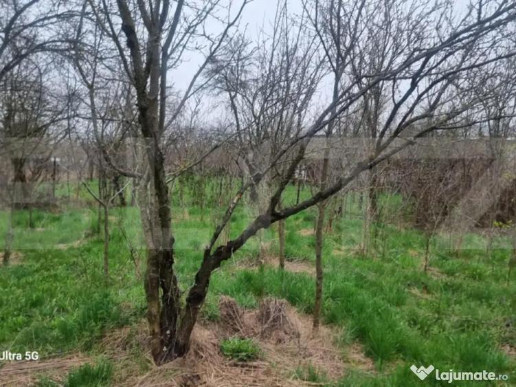 TEREN zona aer curat CASA si ANEXA - 4
