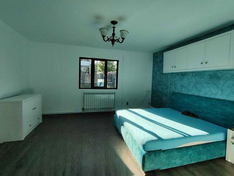 Vand casa cu teren in Radaseni pretabila pentru spatiu comercial/depozit/service/sera/livada - 2