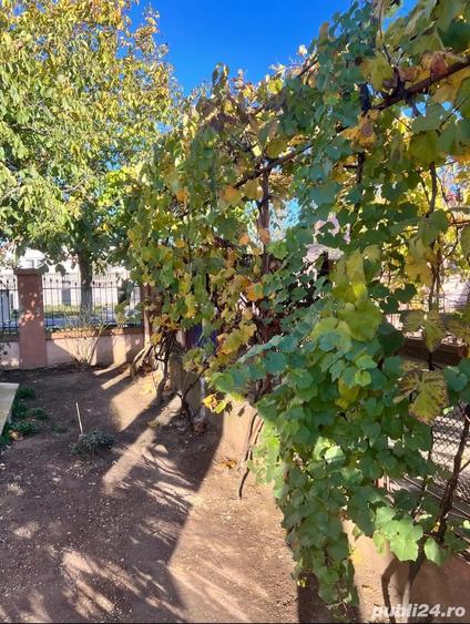 Casa de vanzare comuna Parta judetul Timis - 1