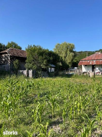 Vand Casa + teren 12.000 mp in Cernisoara, sat Modoia, Valcea - 1