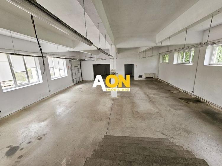 Spatiu industrial pentru productie sau depozitare, 1600 mp, Sebes - 12