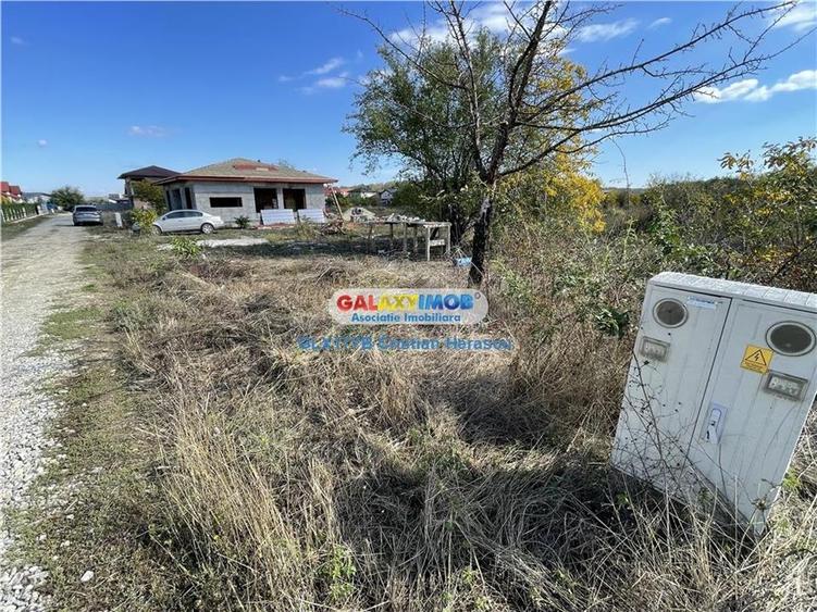 Gulia Tartasesti Str Samurcasi 482 mp deschidere 25 ml - 4