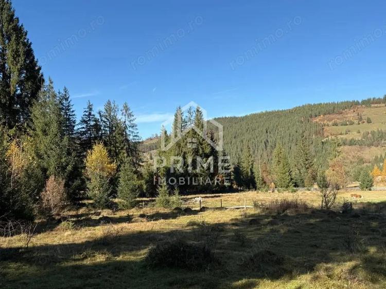 Parcele 500 MP cu CF-uri proprii in intravilanul Galbena, AB - Arieseni - 5