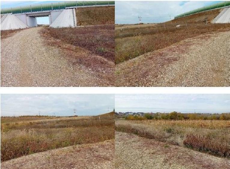 Teren extravilan Albota cota parte 3/8 . ID: R2832826 - 6