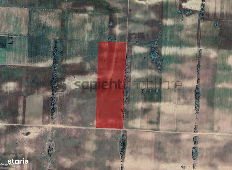 Sapient | Teren agricol _ loc. Desa, jud. Dolj - 2