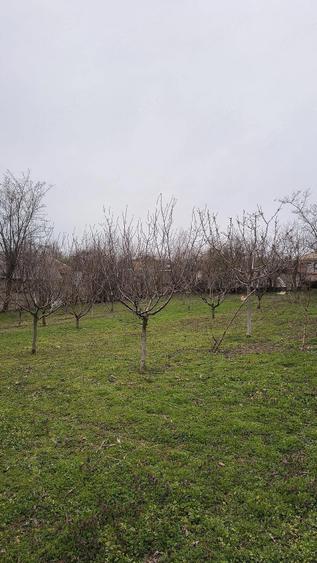 Teren + Casa batraneasca de vanzare sat Alde?ti, jude?ul Gala?i - 1
