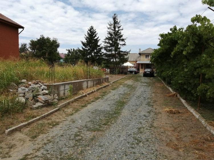 Teren 3500 mp Str Delfinului Foarte Aproape De Lacul Sutghiol - 8