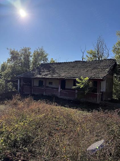 Vanzare teren casa Giurgita Dolj - 3