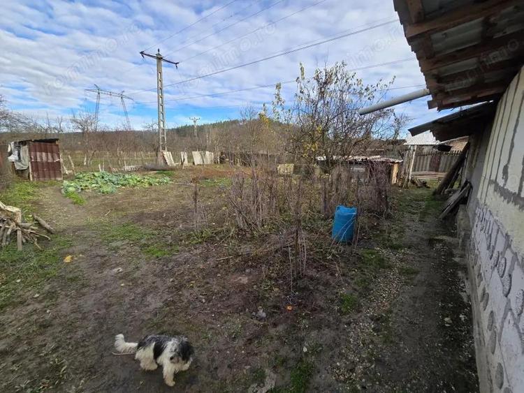 Casa Caline?ti, Carstieni - 10