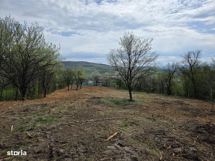 De vanzare teren intravilan Barsau, jud. Hunedoara - 2
